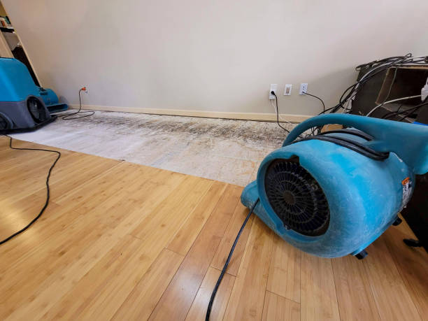 Professional Water Damage Repair technician working in North Hills, NY